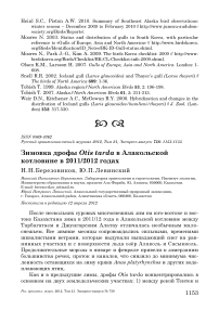 Зимовка дрофы Otis tarda в Алакольской котловине в 2011/2012 годах