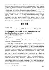 Необычный кормовой метод пищухи Certhia familiaris: обследование глубокой автомобильной колеи