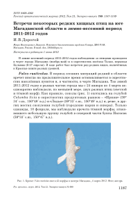 Встречи некоторых редких хищных птиц на юге Магаданской области в зимне-весенний период 2011-2012 годов