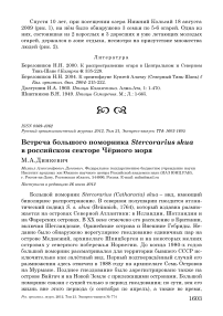 Встреча большого поморника Stercorarius skua в российском секторе Чёрного моря