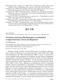 Зелёная пеночка Phylloscopus trochiloides в окрестностях «Леса на Ворскле»