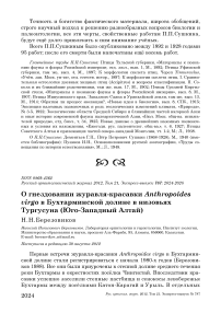 О гнездовании журавля-красавки Anthropoides virgo в Бухтарминской долине в низовьях Тургусуна (Юго-Западный Алтай)