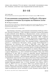 О гнездовании камышницы Gallinula chloropus в верхнем течении Бухтармы на Южном Алтае