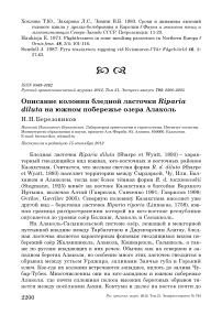 Описание колонии бледной ласточки Riparia diluta на южном побережье озера Алаколь