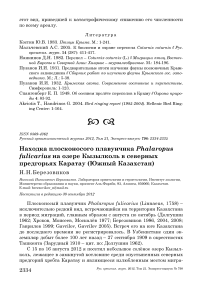 Находка плосконосого плавунчика Phalaropus fulicarius на озере Кызылколь в северных предгорьях Каратау (Южный Казахстан)