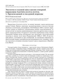 Экология и годовой цикл жизни северной варакушки Luscinia svecica svecica. 1. Предгнездовой и гнездовой периоды