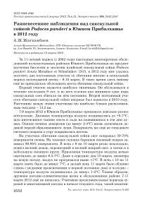 Ранневесенние наблюдения над саксаульной сойкой Podoces panderi в Южном Прибалхашье в 2012 году