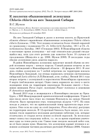 К экологии обыкновенной зеленушки Chloris chloris на юге Западной Сибири