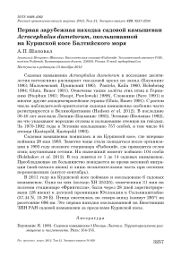Первая зарубежная находка садовой камышевки Acrocephalus dumetorum, окольцованной на Куршской косе Балтийского моря