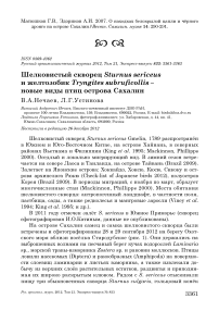 Шелковистый скворец Sturnus sericeus и желтозобик Tryngites subruficollis – новые виды птиц острова Сахалин