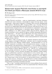 Нашествие щуров Pinicola enucleator и снегирей Pyrrhula pyrrhula в Магадан зимой 2012/13 года