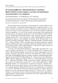 О полиморфизме обыкновенного канюка Buteo buteo и некоторых случаях нетипичных отклонений в его окраске