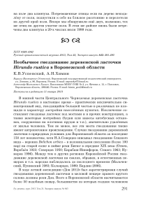 Необычное гнездование деревенской ласточки Hirundo rustica в Воронежской области