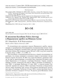 К экологии балобана Falco cherrug в Нарымском хребте на Южном Алтае