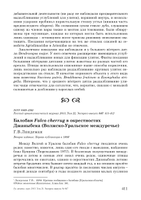 Балобан Falco cherrug в окрестностях Джаныбека (Волжско-Уральское междуречье)