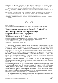 Нахождение каравайки Plegadis falcinellus на Чардаринском водохранилище в среднем течении Сырдарьи