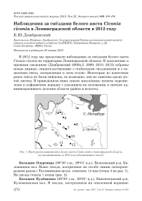 Наблюдения за гнёздами белого аиста Ciconia ciconia в Ленинградской области в 2012 году