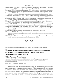 Первое достоверно установленное гнездование сапсана Falco peregrinus в таёжной зоне Архангельской области