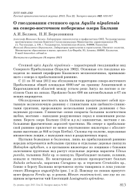 О гнездовании степного орла Aquila nipalensis на северо-восточном побережье озера Балхаш