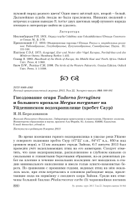 Гнездование огаря Tadorna ferruginea и большого крохаля Mergus merganser на Уйденинском водохранилище (хребет Саур)