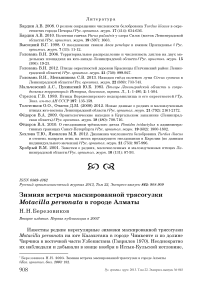 Зимняя встреча маскированной трясогузки Motacilla personata в городе Алматы