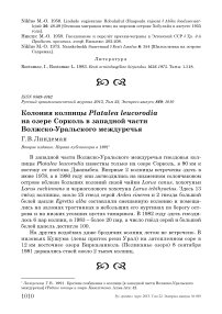 Колония колпицы Platalea leucorodia на озере Сорколь в западной части Волжско-Уральского междуречья