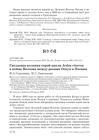 Гнездовая колония серой цапли Ardea cinerea в пойме Волхова между реками Оскуя и Пчевжа