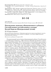 Нахождение выводка обыкновенного дубоноса Coccothraustes coccothraustes в долине Белой Берели (Центральный Алтай)