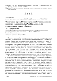 О питании щура Pinicola enucleator пыльниками молочая саянского Euphorbia sajanensis в природном парке «Ергаки»