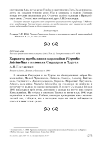 Характер пребывания каравайки Plegadis falcinellus в низовьях Сырдарьи и Тургая