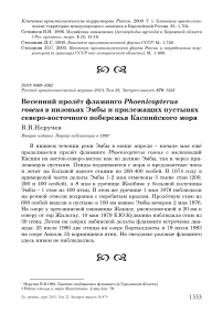 Весенний пролёт фламинго Phoenicopterus roseus в низовьях Эмбы и прилежащих пустынях северо-восточного побережья Каспийского моря