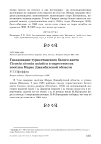 Гнездование туркестанского белого аиста Ciconia ciconia asiatica в окрестностях посёлка Мерке Джамбулской области