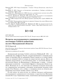 Встреча окольцованного длиннопалого песочника Calidris subminuta на юге Магаданской области