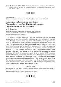 Весенние наблюдения кречётки Chettusia gregaria в Илийской долине (Юго-Восточный Казахстан)