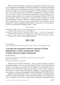 Случай гнездования певчего дрозда Turdus philomelos в нише каменной стены в Баболовском парке Пушкина