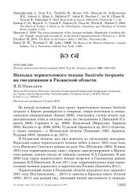 Находка черноголового чекана Saxicola torquata на гнездовании в Рязанской области