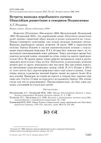 Встреча выводка воробьиного сычика Glaucidium passerinum в северном Подмосковье