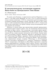 К систематическому положению канюков Buteo buteo из Центрального Тянь-Шаня