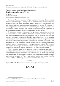 Некоторые сведения о пеганке Tadorna tadorna в Туве