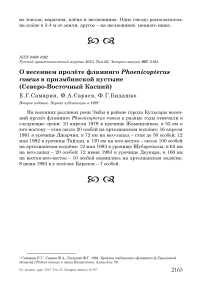 О весеннем пролёте фламинго Phoenicopterus roseus в Приэмбинской пустыне (Северо-Восточный Каспий)