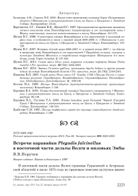 Встречи каравайки Plegadis falcinellus в восточной части дельты Волги и низовьях Эмбы