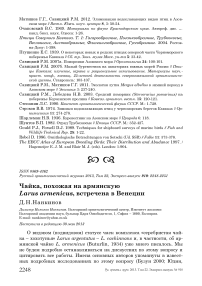 Чайка, похожая на армянскую Larus armenicus, встречена в Венеции