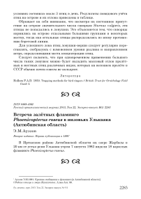 Встреча залётных фламинго Phoenicopterus roseus в низовьях Улькаяка (Актюбинская область)