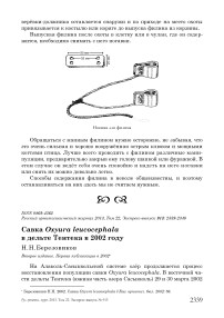 Савка Oxyura leucocephala в дельте Тентека в 2002 году