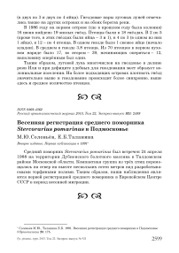 Весенняя регистрация среднего поморника Stercorarius pomarinus в Подмосковье