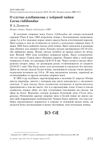 О случае альбинизма у озёрной чайки Larus ridibundus