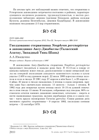 Гнездование стервятника Neophron percnopterus в заповеднике Аксу-Джабаглы (Таласский Алатау, Западный Тянь-Шань)