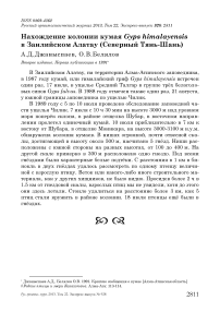 Нахождение колонии кумая Gyps himalayensis в Заилийском Алатау (Северный Тянь-Шань)