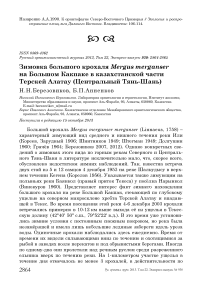 Зимовка большого крохаля Mergus merganser на Большом Какпаке в казахстанской части Терскей Алатау (Центральный Тянь-Шань)