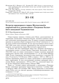 Встречи мраморного чирка Marmaronetta angustirostris в заповеднике «Тигровая балка» (Юго-Западный Таджикистан)